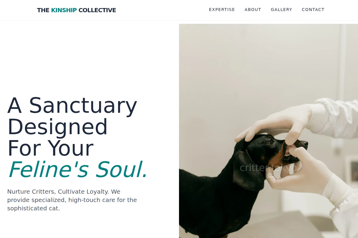 Feline Animal Care
