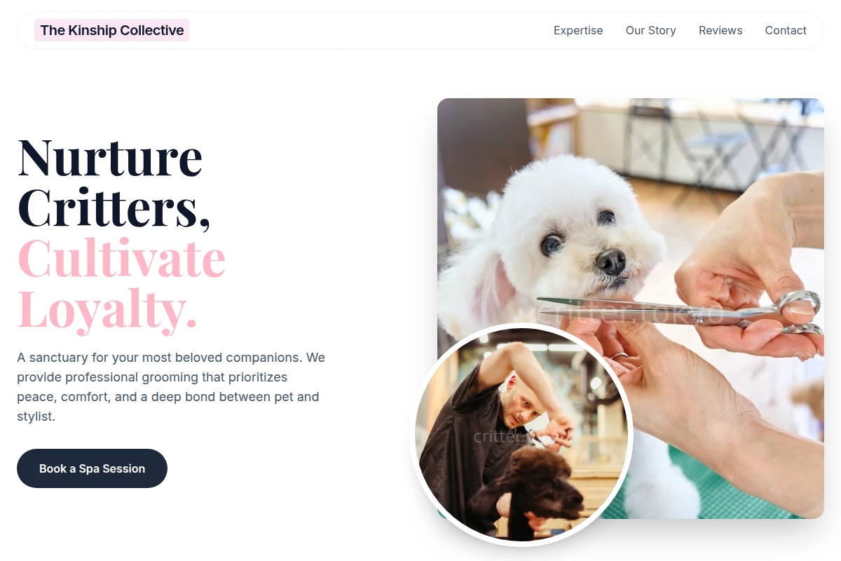 Bond Pet Grooming