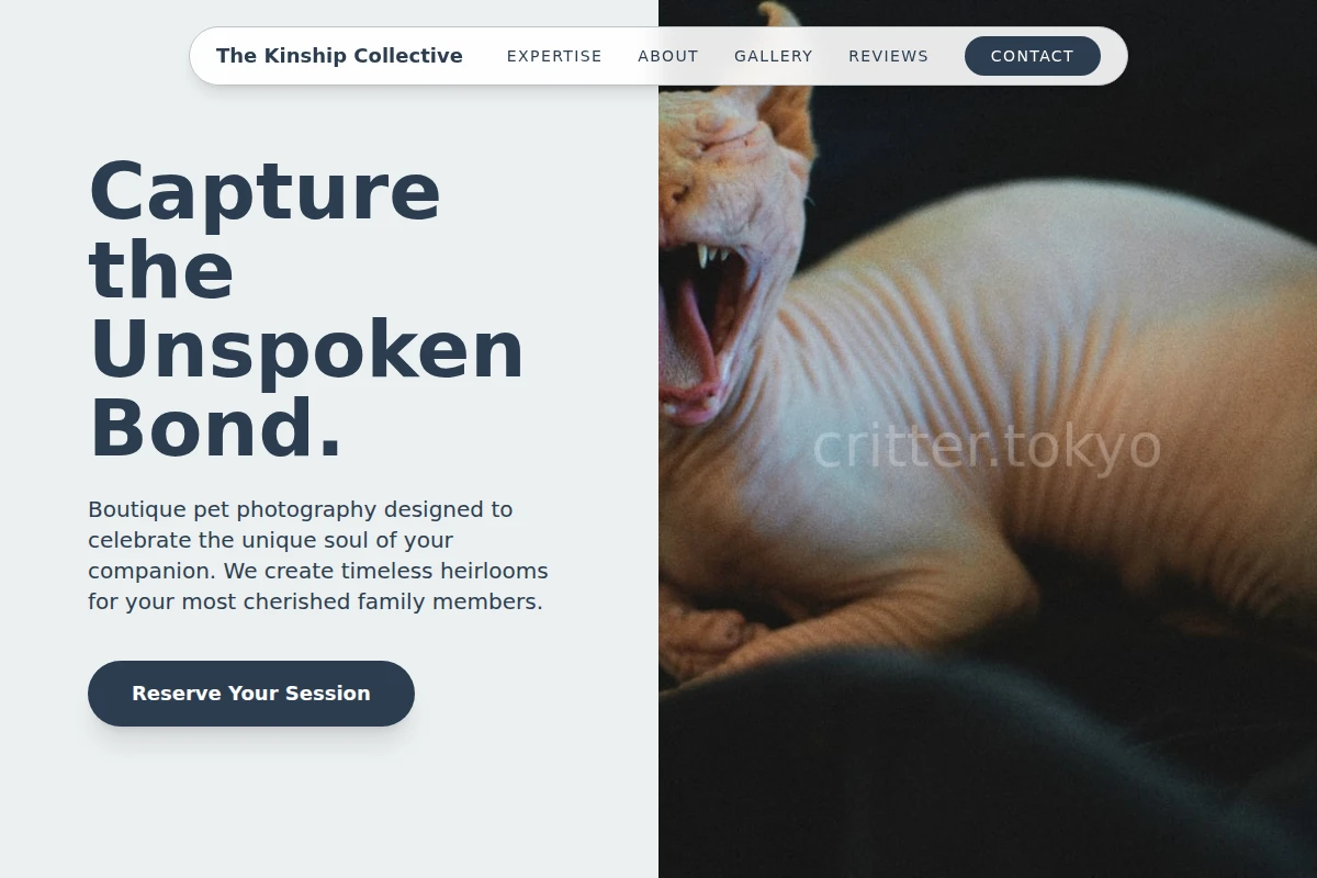 Boutique Pet Photography