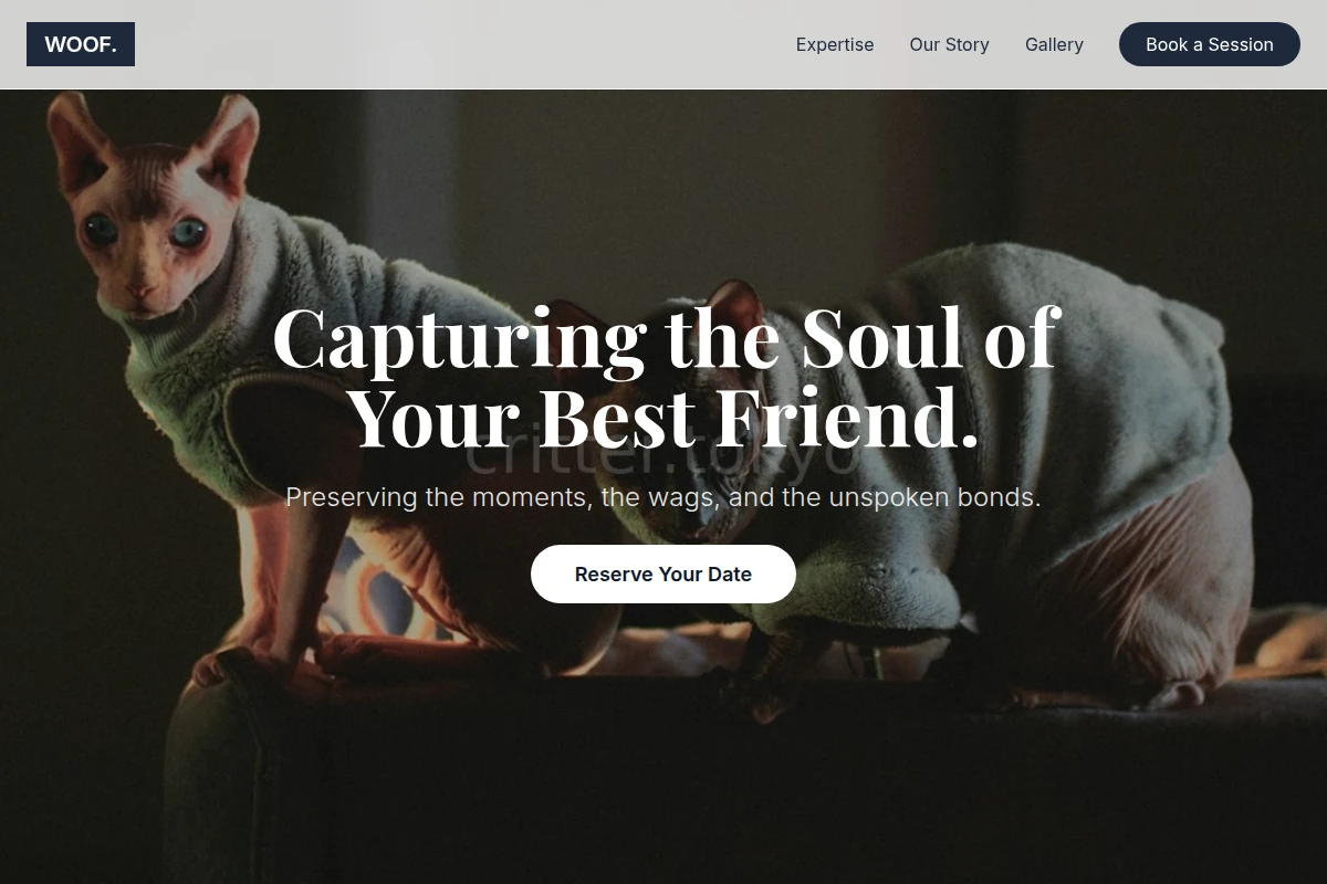 Woof Pet Photography