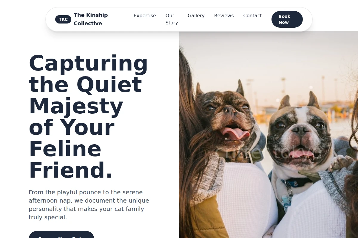 pet-photography