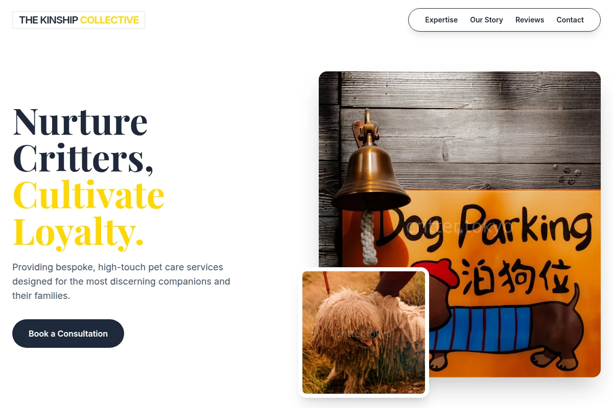 Curated Pet Services