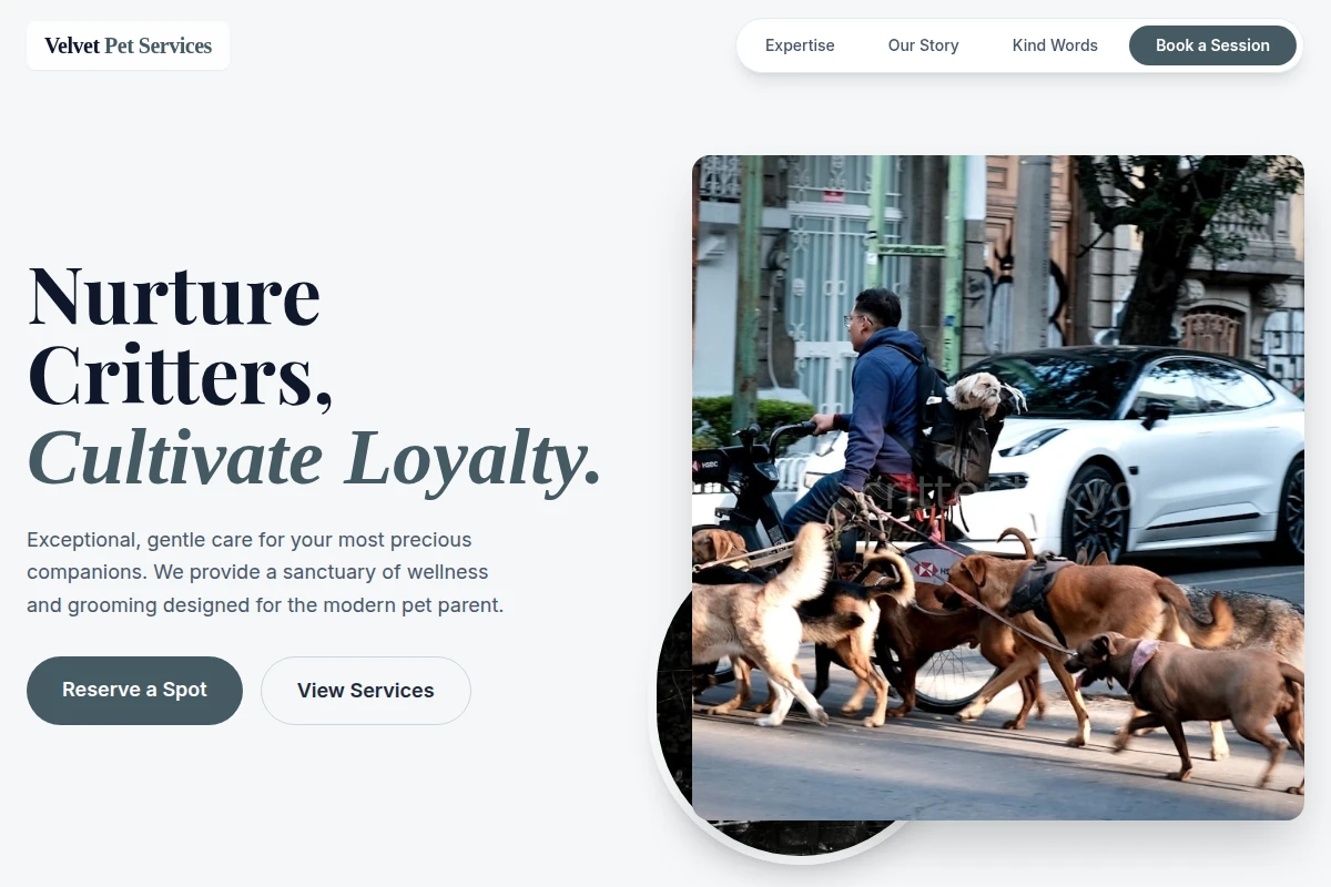 Velvet Pet Services