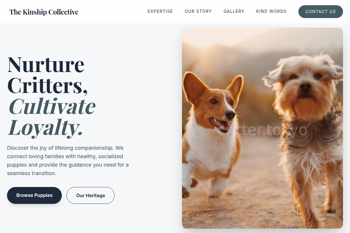 Puppy Pet Shop